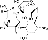 bp2010_v1_07_monographs_medicinal_and_pharmaceutical_substances gentamicinsulphate_4_2009_60_cs.png