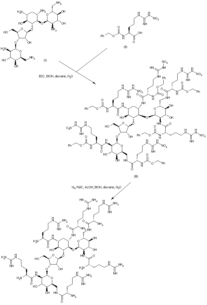 Neomycin B Arginine Conjugate Neomycin B Hexaarginine Conjugate Neor6